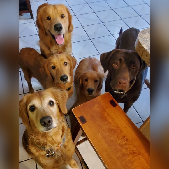 Meet your Posher, Ely - Picture 8 of 9